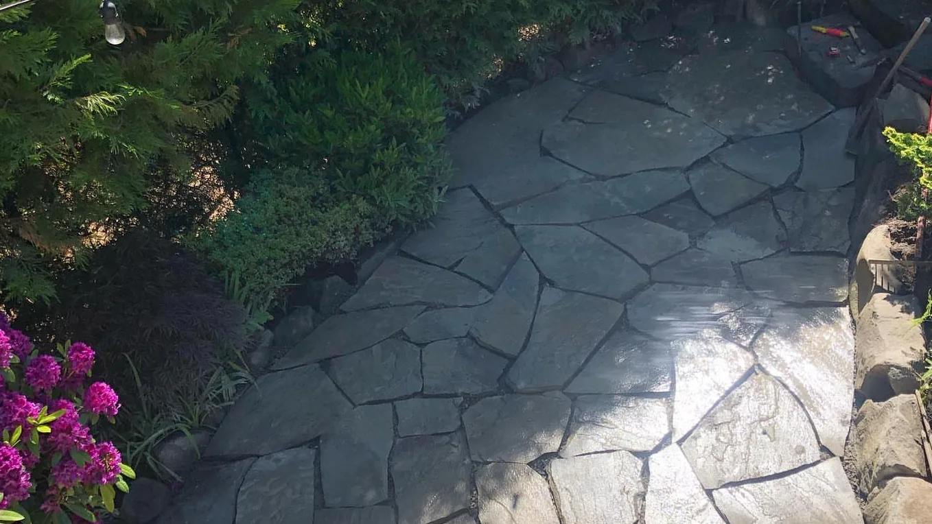 Flagstone patio between blooming rhododendrons and evergreen shrubs