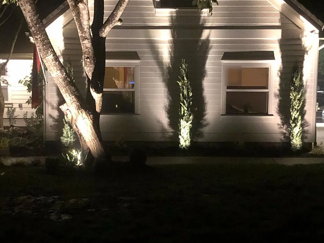 Landscape lighting: uplights on columnar evergreens and a tree trunk washing the front of a house at night