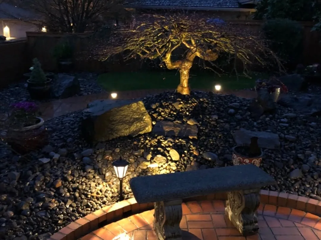 Landscape lighting: an uplit ornamental tree and a path light beside a stone bench on a brick paver border at dusk