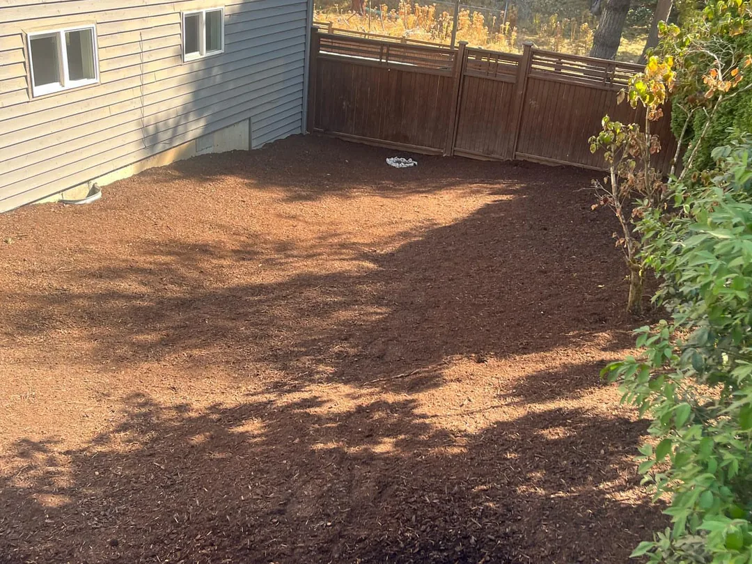 Landscape maintenance: a fresh layer of bark dust across a side yard bed along a wood fence