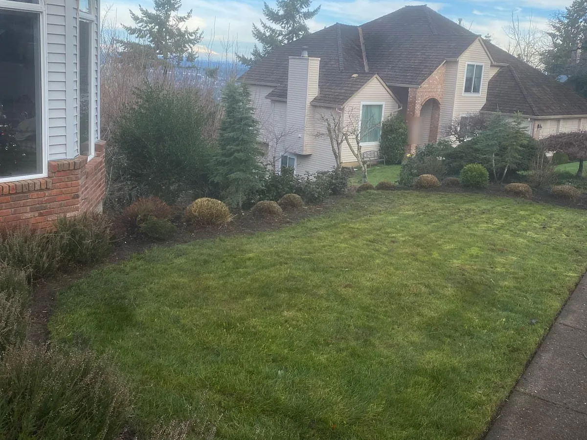Landscape maintenance: a tidy front lawn and trimmed shrub beds beside a house after a seasonal cleanup