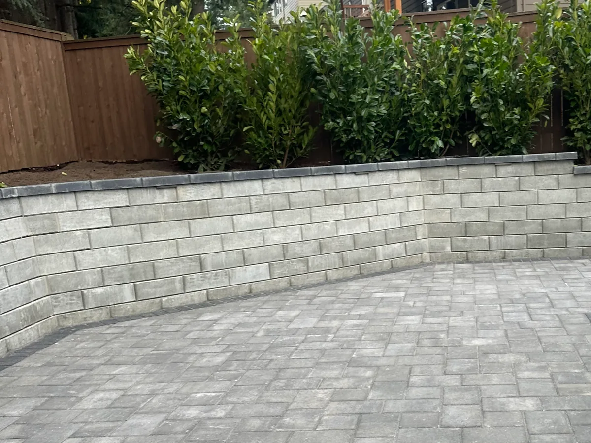 Retaining walls: a curved segmental block seat wall below a laurel hedge and cedar fence, beside a new paver patio