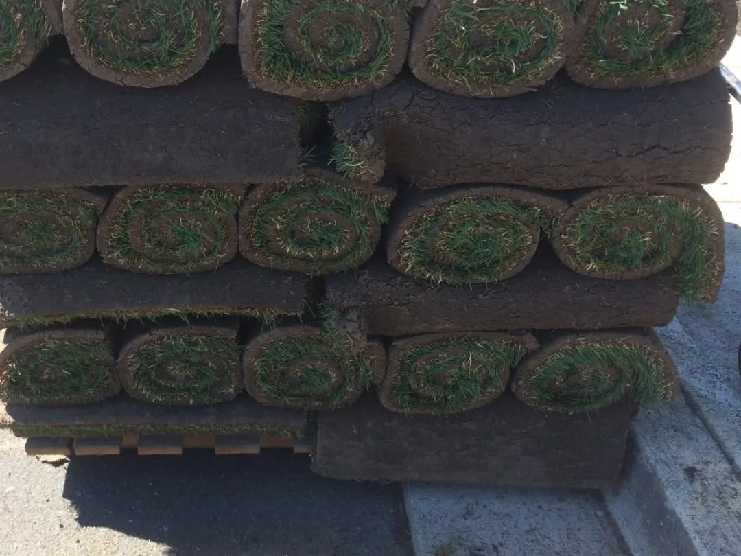 Sod installation: rolls of fresh sod stacked on a pallet ready to lay