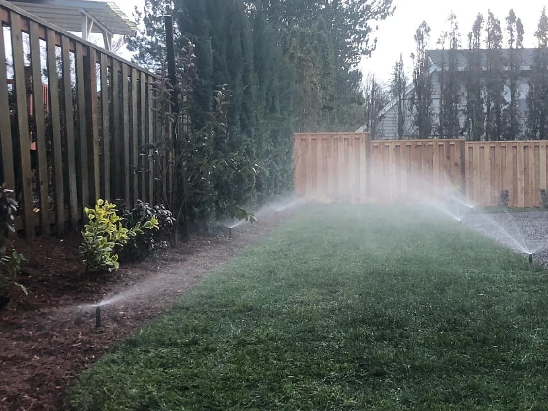 Sprinkler systems: sprinkler heads watering a narrow new lawn between a cedar fence and planting beds
