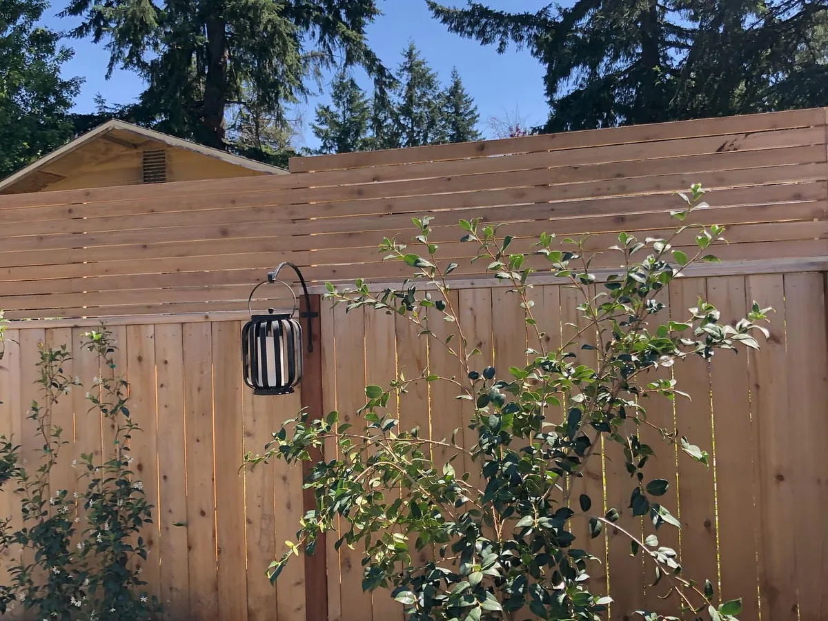 Wood fences: a new cedar privacy fence with a horizontal slat top, climbing plants and a hanging lantern